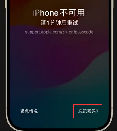 石拐苹果手机密码维修分享iPhone忘记了刚设置的密码 